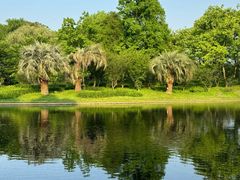 -上海共青森林公园