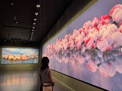 -罗红摄影艺术馆