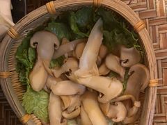 -滇野云南野生菌餐厅(陕西南路店)