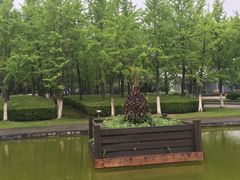 -上海第二工业大学(金海路校区)