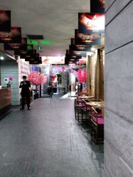-盘子女人坊生日照·摄影馆(华强店)