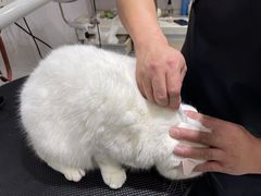 -宠颐生动物医院·小陆分院