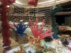 飞虾-广州中心皇冠假日酒店-环市食坊·海鲜自助餐厅