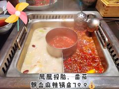 -大隐·成都火锅Bistro(合生麒麟新天地店)