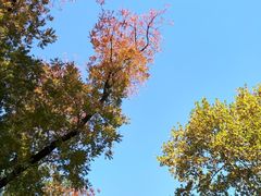 -中山公园