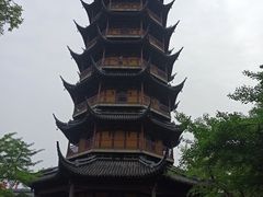 -红梅公园