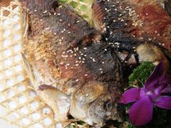 碳烤海鲫鱼-合合大冷面(湖南店)