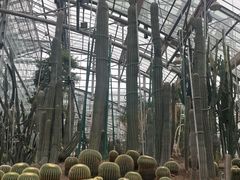 -南山植物园