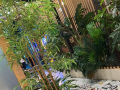 -四季合味椰子鸡(南山大冲店)