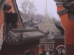 -长春观