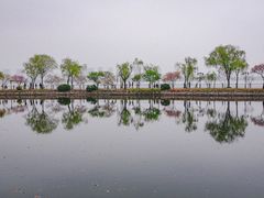 -无锡蠡湖国家湿地公园-蠡园