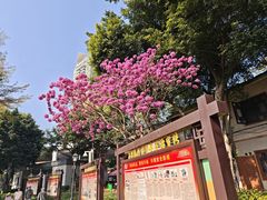 -荔湾湖公园