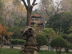 -洛阳市牡丹公园