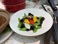 橄榄油炒田园时蔬-大树餐厅(环球港店)