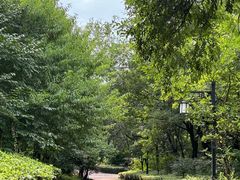 -八大山人梅湖景区