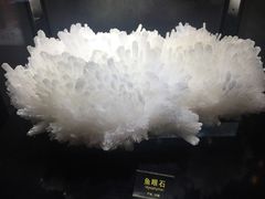 -郴州西站