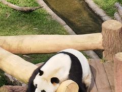-沈阳森林动物园