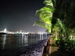 -万绿园