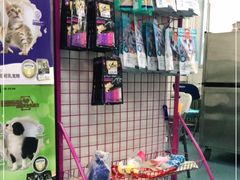 -北京赛佳动物医院