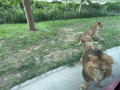 -北京野生动物园