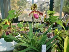 -国家植物园南园