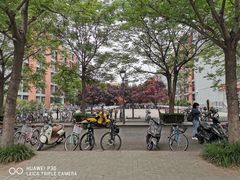 -荷园一餐厅