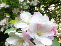 -唐城墙遗址公园