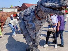 -南通洲际绿博园