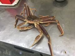 -海岛渔村大酒店(云霄路店)
