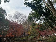 -秋霞圃