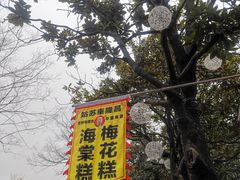-姑苏秦隆昌(木渎古镇店)