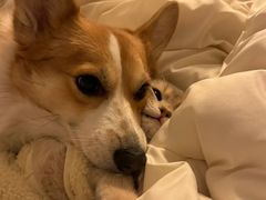 -荔康动物医院(康王北路店)