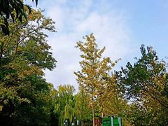 -古塔公园