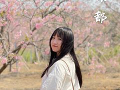 -天适樱花悠乐园