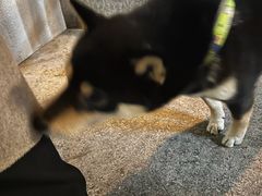-韩满园· 甄选韩式烤肉
