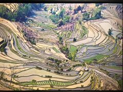 -国家地理探险家中心