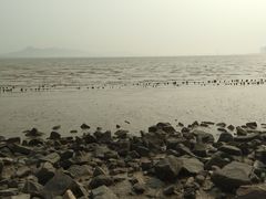 -深圳湾公园(南山区)