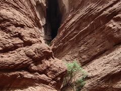 -天山神秘大峡谷