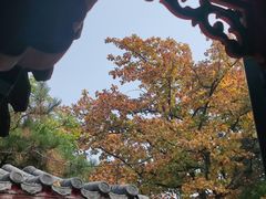 -红螺寺