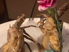 -揽季锅物会.福建黄鱼.海鲜姿造(五四路店)