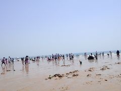 -日照海滨国家森林公园