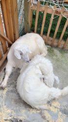 -三分地生态园·儿童乐园