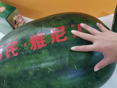 -沈阳国际会展中心管理有限公司