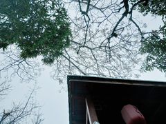 -西安国际创新人才交流中心•药浴温泉