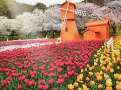 -苏州上方山国家森林公园