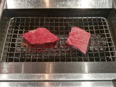 -俺的焼肉(銀座9丁目店)