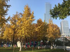 -重庆市江北嘴中央商务区中央公园