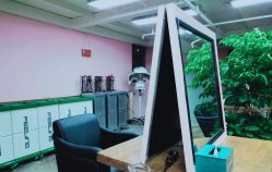 -小左沙龙