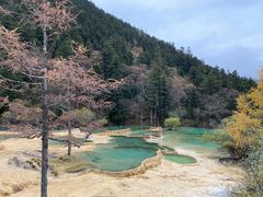 -黄龙山原始森林景区