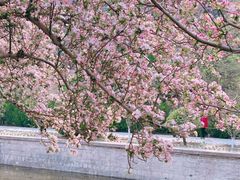 -元大都城垣遗址公园